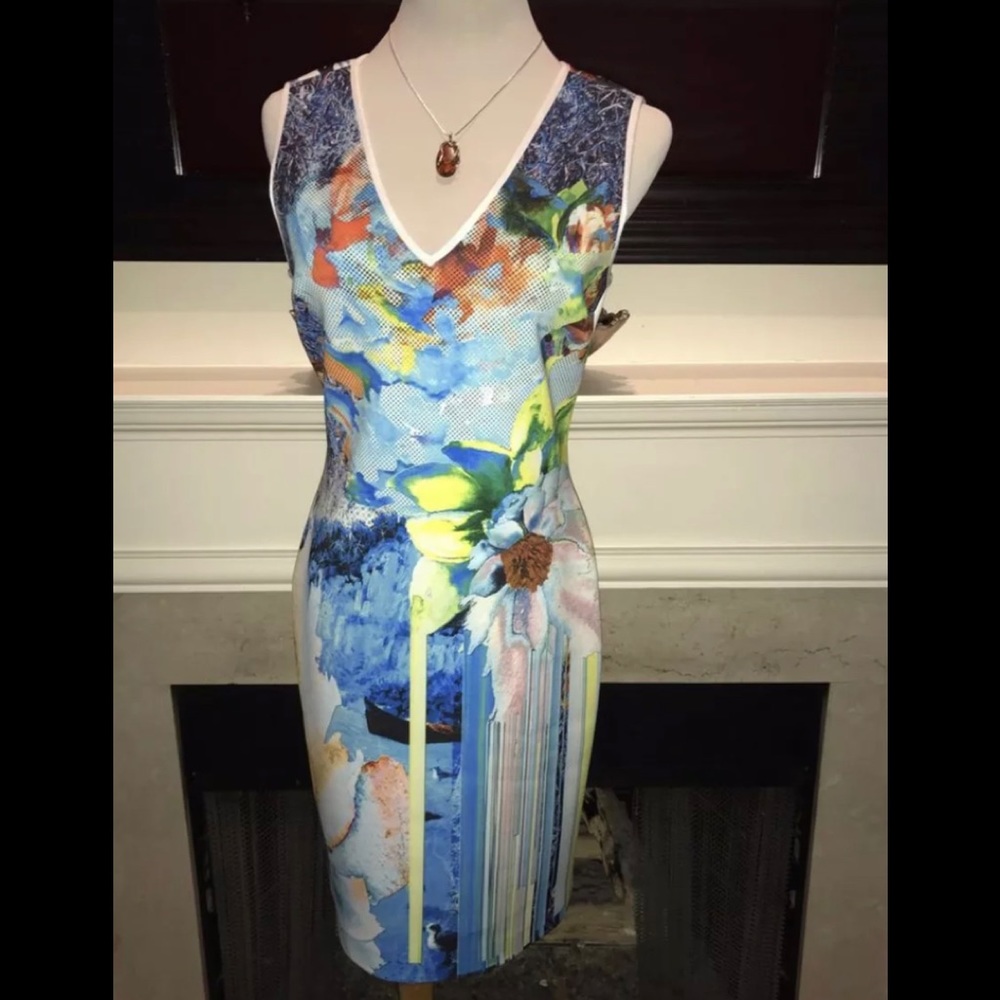 New Clover Canyon Bodycon dress